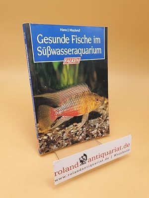 Bild des Verkufers fr Gesunde Fische im Ssswasseraquarium zum Verkauf von Roland Antiquariat UG haftungsbeschrnkt