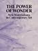 Imagen del vendedor de The Power of Wonder: New Materialisms in Contemporary Art [Hardcover ] a la venta por booksXpress