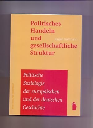 Politisches Handeln und gesellschaftliche Struktur. Politische Soziologie der europäischen und der