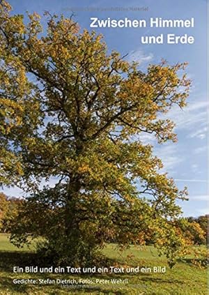 Bild des Verkufers fr Zwischen Himmel und Erde: Ein Bild und ein Text und ein Text und ein Bild zum Verkauf von WeBuyBooks