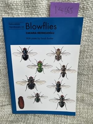 Seller image for Blowflies Naturalists Handbooks 23. for sale by Anytime Books