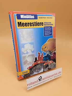 Seller image for MiniAtlas Meerestiere ; Riffbarsche und Weichkorallen for sale by Roland Antiquariat UG haftungsbeschrnkt