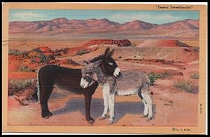 Imagen del vendedor de burro postcard: Desert Sweethearts a la venta por Mobyville