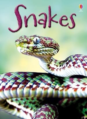 Seller image for Snakes for sale by GreatBookPricesUK
