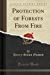 Seller image for Protection of Forests From Fire (Classic Reprint) [Soft Cover ] for sale by booksXpress