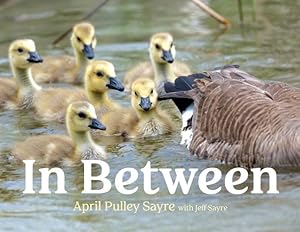 Seller image for In Between by Sayre, April Pulley [Hardcover ] for sale by booksXpress