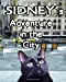 Seller image for Sidney's Adventure in the City(B&W Edition) [Soft Cover ] for sale by booksXpress