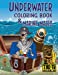 Bild des Verkufers fr Underwater coloring book & Marine mazes [Soft Cover ] zum Verkauf von booksXpress