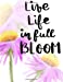 Seller image for Live Life in Full Bloom: Unlined Notebook for Drawing and Writing (Blank Notebooks and Journals) [Soft Cover ] for sale by booksXpress