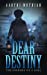 Bild des Verkufers fr Dear Destiny: The Journey Of A Soul [Soft Cover ] zum Verkauf von booksXpress