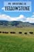 Immagine del venditore per My Adventures in Yellowstone: Travel Journal for Kids [Soft Cover ] venduto da booksXpress