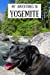 Immagine del venditore per My Adventures in Yosemite: Travel Journal for Kids [Soft Cover ] venduto da booksXpress