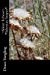 Bild des Verkufers fr Silent Echoes~ *Siberian Sniper* (Volume 4) [Soft Cover ] zum Verkauf von booksXpress