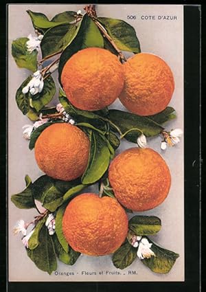 Ansichtskarte Orangen von der Cote d`Azur