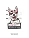 Seller image for sketchbook: Warning beware of dog on white cover (8.5 x 11) inches 110 pages, Blank Unlined Paper for Sketching, Drawing, Whiting, Journaling & . beware of dog on white sketchbook (Volume 4) [Soft Cover ] for sale by booksXpress