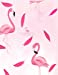 Image du vendeur pour Sketch book: Flamingo cover (8.5 x 11) inches 110 pages, Blank Unlined Paper for Sketching, Drawing , Whiting , Journaling & Doodling (Flamingo sketchbook,) (Volume 1) [Soft Cover ] mis en vente par booksXpress