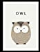 Seller image for Owl: Owl cover (8.5 x 11) inches 110 pages, Blank Unlined Paper for Sketching, Drawing, Whiting, Journaling & Doodling (Owl sketchbook) (Volume 1) [Soft Cover ] for sale by booksXpress