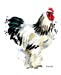Image du vendeur pour Journal: Brahma Cockerel Chicken Notebook (Chicken Collection) (Volume 49) [Soft Cover ] mis en vente par booksXpress