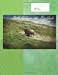 Seller image for Oh Where the Buffalo Roam: Composition Notebook Standard 7.44 by 9.69 size, with 150 Pages / 75 Sheets Total [Soft Cover ] for sale by booksXpress