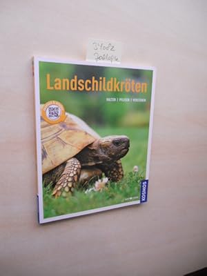 Landschildkröten. Halten, pflegen, verstehen.