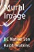 Seller image for Mural Image: DC Native Son [Soft Cover ] for sale by booksXpress