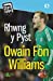 Bild des Verkufers fr Stori Sydyn: Rhwng y Pyst - Hunangofiant Owain Fon Williams [Soft Cover ] zum Verkauf von booksXpress