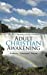 Seller image for Adult Christian Awakening [Soft Cover ] for sale by booksXpress