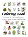 Bild des Verkufers fr Botanical Art Coloring Book: Fine Art from Original Pen & Ink Drawings (Volume 1) [Soft Cover ] zum Verkauf von booksXpress