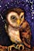 Image du vendeur pour Twinkle Twinkle Little Owl" by Esther M. Smith Art of Life Journal (Blank / Lin (Art of Life Journals) [Soft Cover ] mis en vente par booksXpress