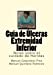 Bild des Verkufers fr Guia de Ulceras Extremidad Inferior: Notas sobre el cuidado de Heridas (Volume 14) (Spanish Edition) [Soft Cover ] zum Verkauf von booksXpress