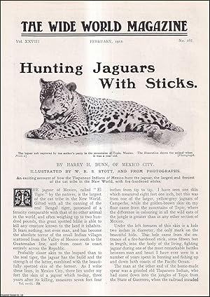 Seller image for Hunting Jaguars with Sticks : the Tiapaneco Indians of Mexico. An uncommon original article from the Wide World Magazine, 1912. for sale by Cosmo Books