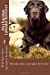 Seller image for My Chocolate Labrador Retriever (Journal / Notebook) [Soft Cover ] for sale by booksXpress