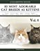 Seller image for 10 Most Adorable Cat Breeds As Kittens-Animal Coloring Book included Persian - Scottish Fold - Sphynx - Bengal - Ragdoll - Munchkin - Siamese - Maine . Mindfulness Sketch Coloring Book) (Volume 8) [Soft Cover ] for sale by booksXpress