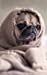 Bild des Verkufers fr Pug's In A Blanket Lined Notebook: 120 Page, 5x8, Journal For Dog Lovers [Soft Cover ] zum Verkauf von booksXpress