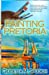 Seller image for Painting Pretoria [Soft Cover ] for sale by booksXpress