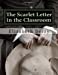 Seller image for The Scarlet Letter in the Classroom: A Risen Light Films Guide for Learning [Soft Cover ] for sale by booksXpress