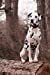 Seller image for Dalmatian Dog In Woods Blank Lined 6 x 9 Journal 150 Pages [Soft Cover ] for sale by booksXpress