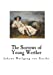 Seller image for The Sorrows of Young Werther: An Autobiographical Epistolary Novel [Soft Cover ] for sale by booksXpress