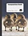 Bild des Verkufers fr Duck Butts - Composition Book [Soft Cover ] zum Verkauf von booksXpress