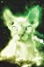 Image du vendeur pour Sphynx Cat In Space Notebook (Vol 6): Trippy Space Hairless Cat Lined Composition Book/Diary/Journal For Students, 6 x 9, 130 Pages, Alien Green [Soft Cover ] mis en vente par booksXpress