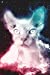 Image du vendeur pour Hairless Cat Notebook (Vol 2): Funny Space Sphynx Cat Lined Composition Book/Diary/Journal For Students, 6 x 9, 130 Pages, Purple Turquoise [Soft Cover ] mis en vente par booksXpress