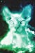 Imagen del vendedor de Sphynx Cat In Space Notebook (Vol 4): Cool Space Hairless Cat Lined Composition Book/Diary/Journal For Students, 6 x 9, 130 Pages, Blue Green [Soft Cover ] a la venta por booksXpress