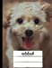 Imagen del vendedor de Notebook: Toy Poodle College Ruled Notebook | Cute Journal | 100 Sheets (200 Pages) | Soft Cover [Soft Cover ] a la venta por booksXpress