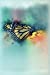 Image du vendeur pour Butterfly Blue Journal: Beautiful Artistic Vintage Paint Style Blank Lined Composition Notebook/Diary/Journal For Women, Girls, 6 x 9, 130 Pages [Soft Cover ] mis en vente par booksXpress