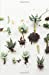 Seller image for The Botanical Collection: Uprooted Succulents, Travel Sized Minimalist Notebook, Journal, Diary for Plant Lovers, Lined Stationery With Cream Paper Interior (Horticultural Stationery) (Volume 7) [Soft Cover ] for sale by booksXpress