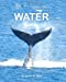 Seller image for One-Hour Physics: Water [Soft Cover ] for sale by booksXpress