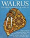 Seller image for Walrus Coloring Book For Adults: Stress Relief Coloring Book For Grown-Ups Containing 40 Paisley, Henna And Mandala Walrus Coloring Pages (Sea Mammal Coloring Books) [Soft Cover ] for sale by booksXpress