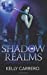 Imagen del vendedor de Shadow Realms (Shadow Realms Book 1): A Vampire Hunter Novel (Volume 1) [Soft Cover ] a la venta por booksXpress