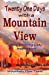 Seller image for Twenty One Days with a Mountain View: Soul Reviving Inspiration (Volume 1) [Soft Cover ] for sale by booksXpress