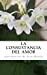 Seller image for La consustancia del amor (Spanish Edition) [Soft Cover ] for sale by booksXpress